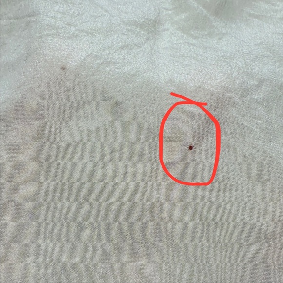 DKNY 100% Silk Ivory Button-Up Blouse *small flaw* - Picture 12 of 16